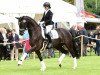 dressage horse De la Rose 4 (Hanoverian, 2011, from Dancier)