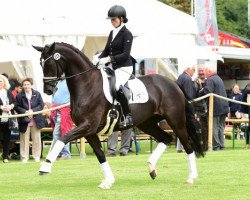 dressage horse De la Rose 4 (Hanoverian, 2011, from Dancier)