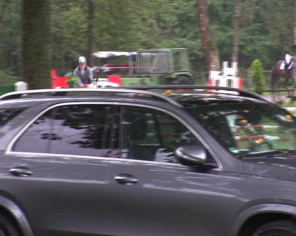 Reitturnier Wedel-Catharinenhof 2019