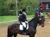 Dressurpferd Flack DG (KWPN (Niederländisches Warmblut), 2010, von Zizi Top)