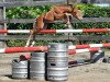 jumper Quistro vd Bisschop ET (Belgian Warmblood, 2016, from Vigo d'Arsouilles)