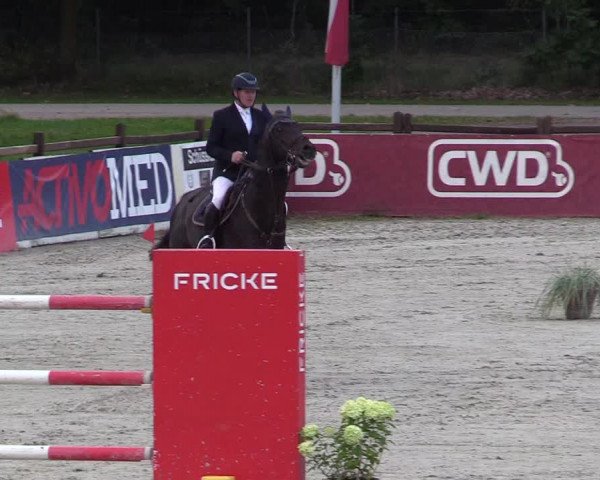 Reitturnier Westergellersen 2021