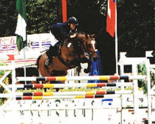 broodmare Mary Lou (KWPN (Royal Dutch Sporthorse), 1991, from Dublin)
