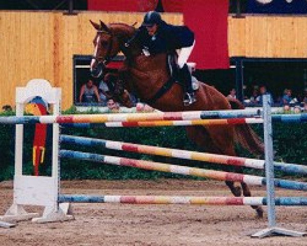 broodmare Quirida (Oldenburg, 1990, from Quo Vadis)