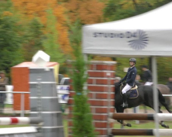 Reitturnier Wernigerode 2019