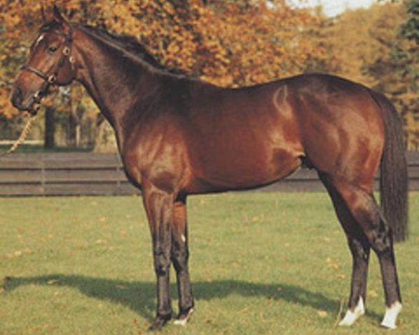 stallion Dancing Dessident xx (Thoroughbred, 1986, from Nureyev xx)