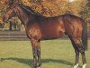 stallion Dancing Dessident xx (Thoroughbred, 1986, from Nureyev xx)