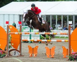 jumper Khan (Hungarian Warmblood, 2006, from Karandasj)