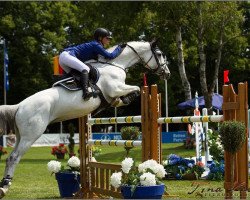 broodmare Cadela (Zangersheide riding horse, 2003, from Cassino Z)