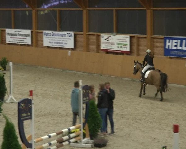 Reitturnier Xanten - Reitanlage Miss 2019