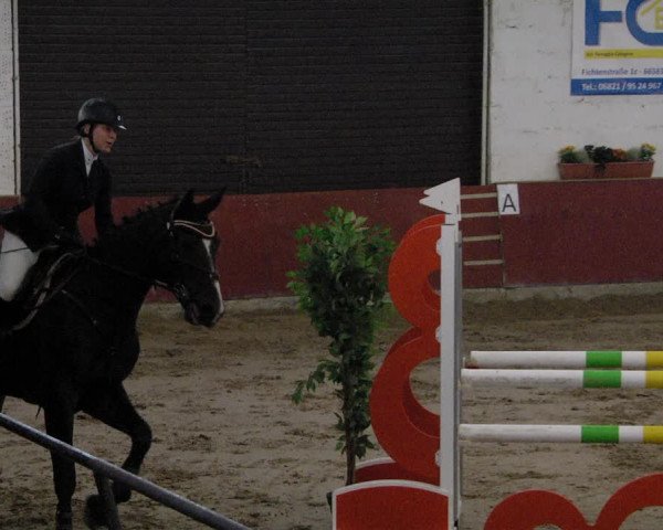 Reitturnier Neunkirchen-Furpach 2019