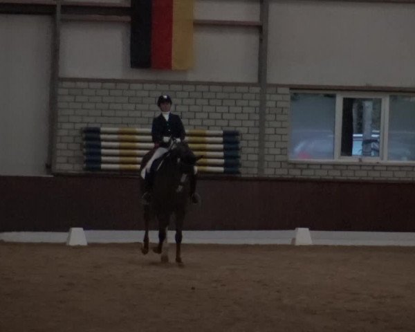 Reitturnier Kirchhellen-RSV Zur Linde 2019