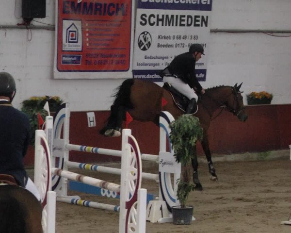 Reitturnier Neunkirchen-Furpach 2019