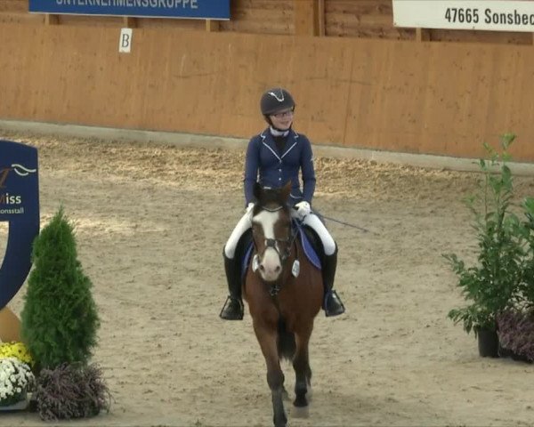 Reitturnier Xanten - Reitanlage Miss 2019