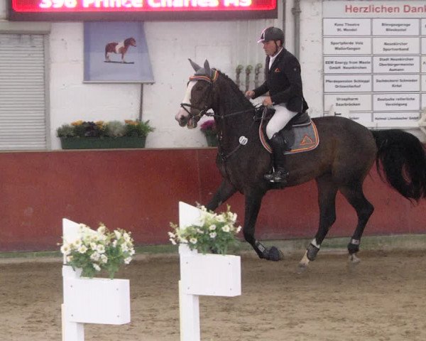 Reitturnier Neunkirchen-Furpach 2019