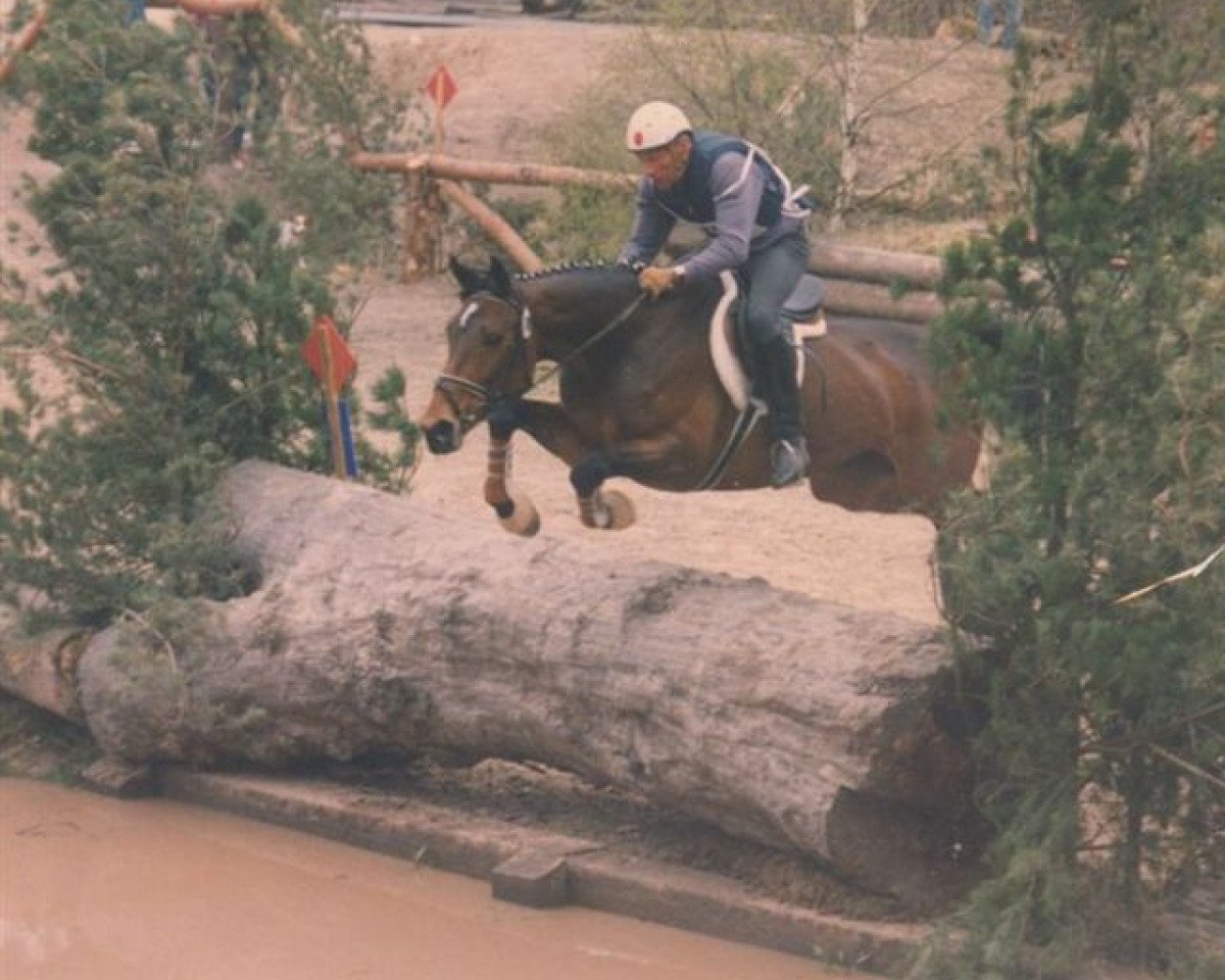 broodmare Surete xx (Thoroughbred, 1978, from Alpenkönig xx)