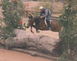 broodmare Surete xx (Thoroughbred, 1978, from Alpenkönig xx)