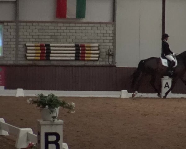 Reitturnier Kirchhellen-RSV Zur Linde 2019