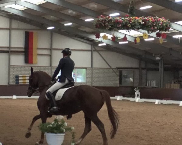 Reitturnier Kirchhellen-RSV Zur Linde 2019