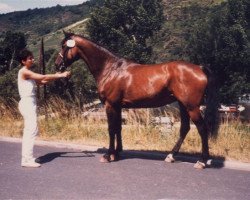 broodmare Ellitte (Zweibrücken, 1977, from Uredo)