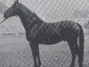 horse Einstein (Hanoverian, 1970, from Einglas)
