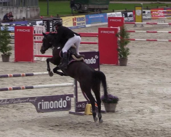 Reitturnier Westergellersen 2021