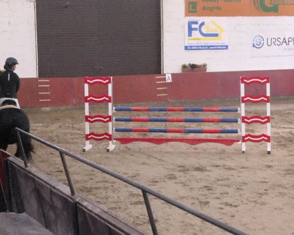 Reitturnier Neunkirchen-Furpach 2019