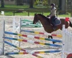 horse Quinoa De Blois (Selle Français, 2004, from Easy Boy)