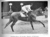 stallion Franc Luron xx (Thoroughbred, 1954, from Free Man xx)