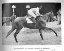 stallion Franc Luron xx (Thoroughbred, 1954, from Free Man xx)