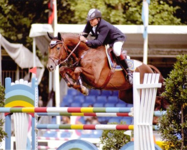 stallion Recaro Brillant (Oldenburg, 2002, from Recaro)