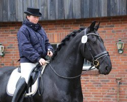 dressage horse Colijn G (Friese, 2008, from Haitse 425)