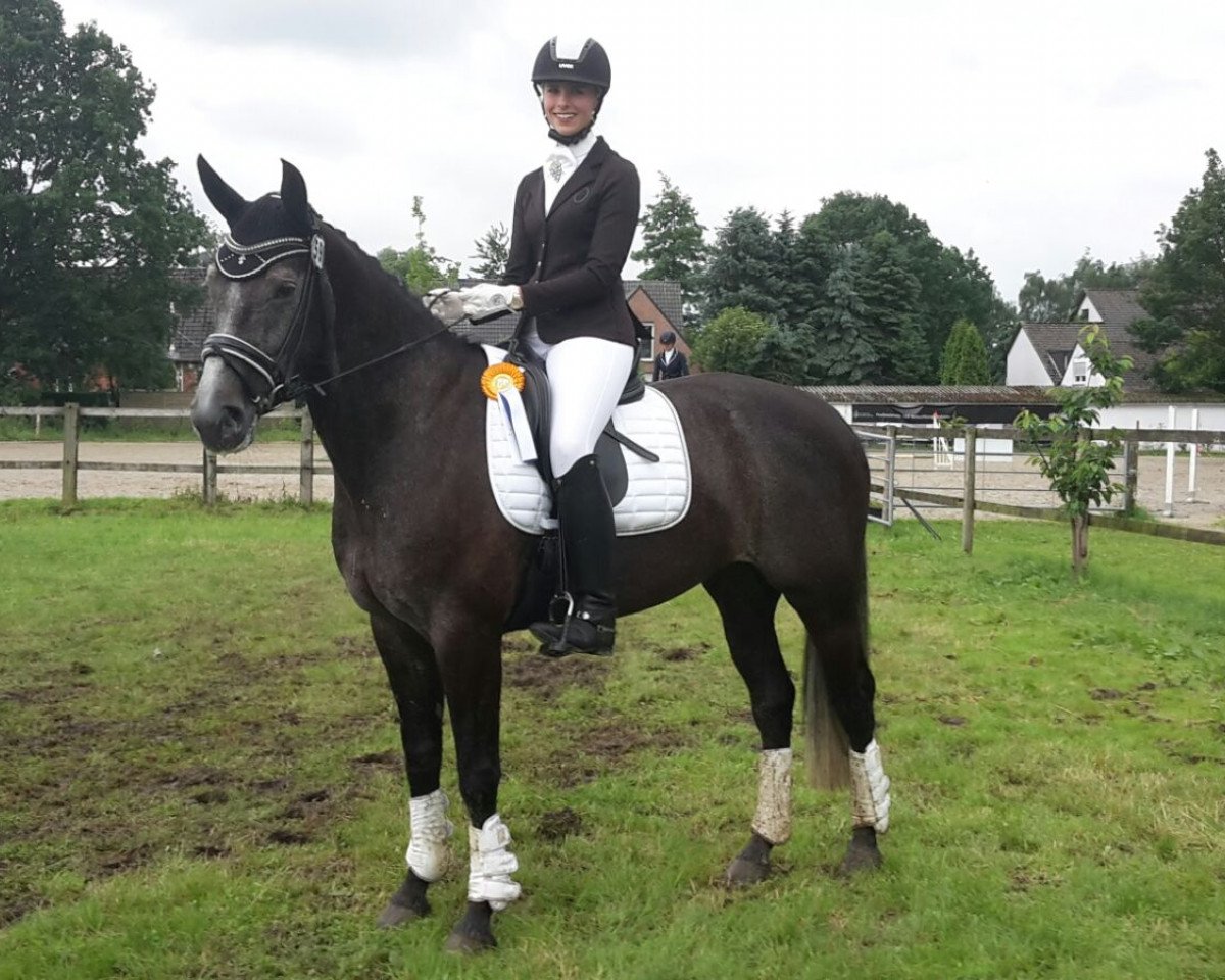 dressage horse Lucy's Tochter (Alt-Oldenburger / Ostfriesen, 2011, from Landor)