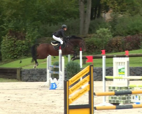 Reitturnier Frankenhof-Sonnefeld/Ofr. 2019