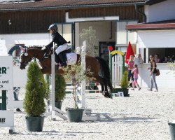 dressage horse Pinie (German Riding Pony, 2001, from Kaiserstolz)