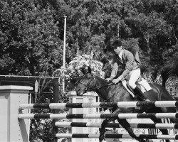 horse Koh I Noor (KWPN (Royal Dutch Sporthorse), 1969, from Off Key xx)