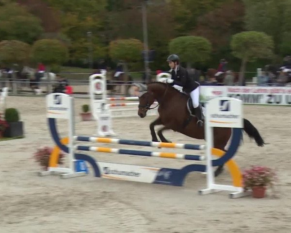 Reitturnier Frankenhof-Sonnefeld/Ofr. 2019
