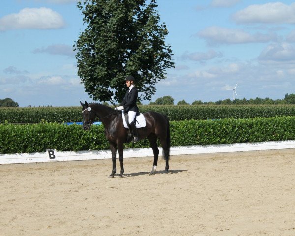 broodmare Isabell D (Hanoverian, 2009, from Insterburg TSF)