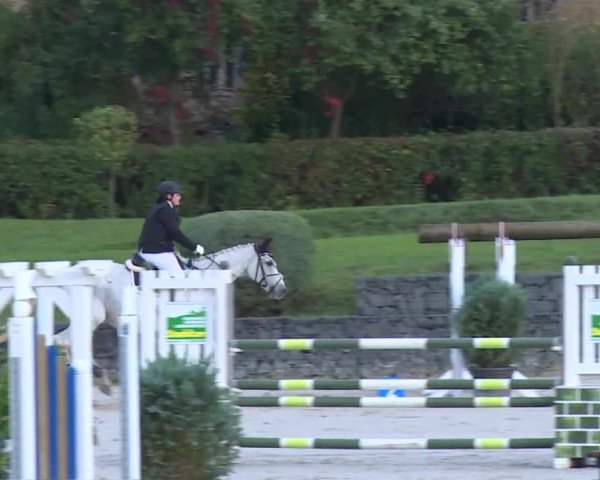 Reitturnier Frankenhof-Sonnefeld/Ofr. 2019