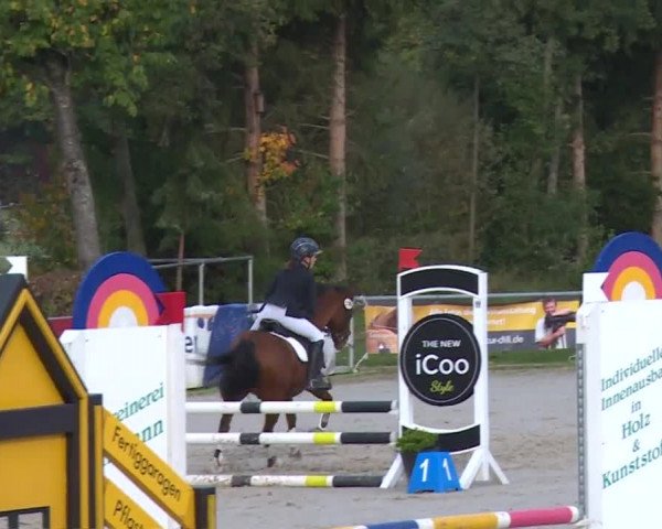Reitturnier Frankenhof-Sonnefeld/Ofr. 2019