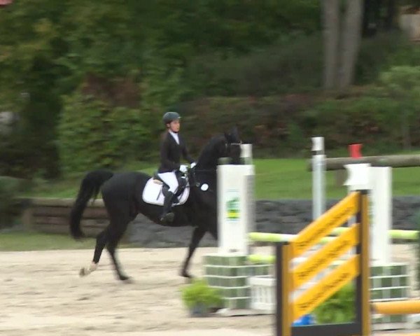 Reitturnier Frankenhof-Sonnefeld/Ofr. 2019