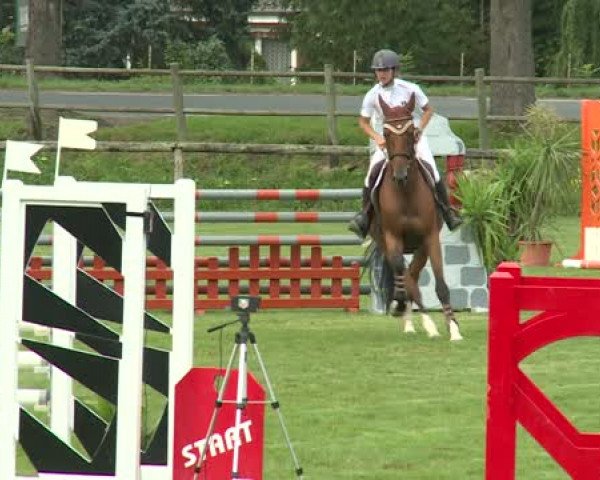 jumper Aaron de Preuilly (Selle Français, 2010, from Pacha de Preuilly)