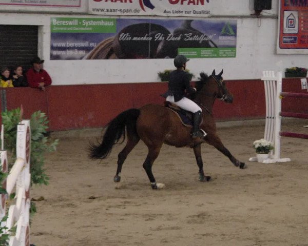 Reitturnier Neunkirchen-Furpach 2019