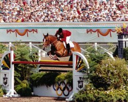 Pferd Calypso (KWPN (Niederländisches Warmblut), 1973, von Lucky Boy xx)