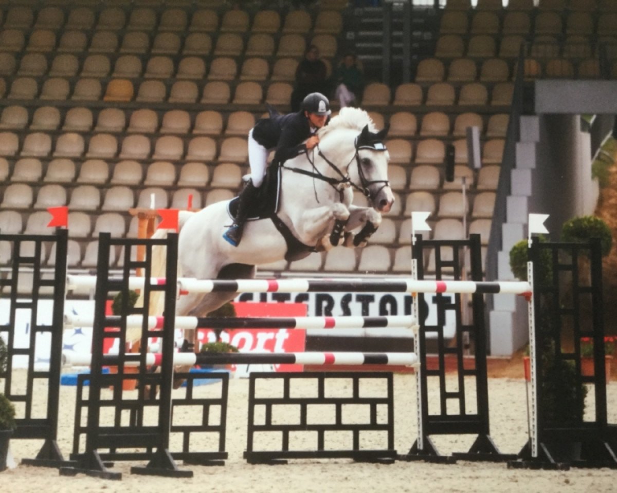 Deckhengst Santa Rosa Camelot (Argentinisches Reitpferd, 2007, von VDL Cardento 933)