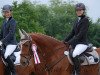 jumper Bolero 371 (Trakehner, 2007, from Blitz und Donner)