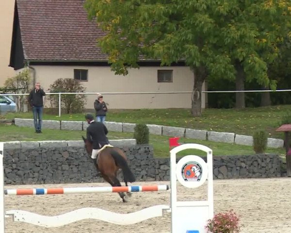 Reitturnier Frankenhof-Sonnefeld/Ofr. 2019