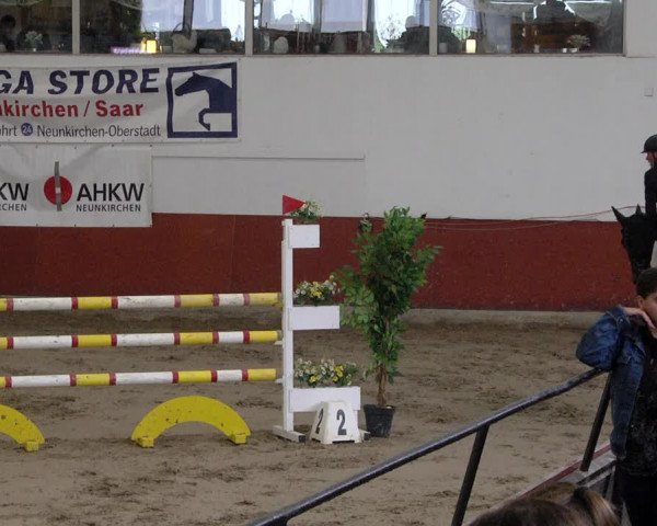 Reitturnier Neunkirchen-Furpach 2019