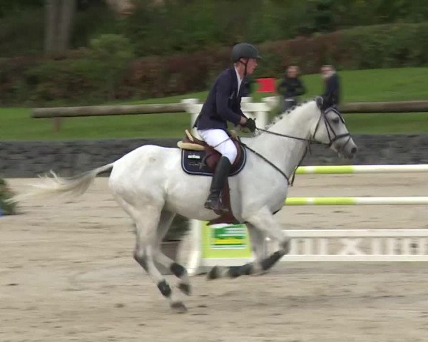 Reitturnier Frankenhof-Sonnefeld/Ofr. 2019