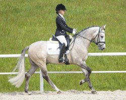 dressage horse Best Dun Dance (German Riding Pony, 2010, from Doubtless)